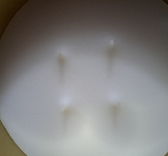 NEW Simply Indulgent Eucalyptus Soy Candle Size 14oz. - Picture 3 of 6